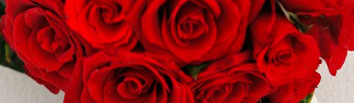 Casament a Cal Jafra… per sorpresa!