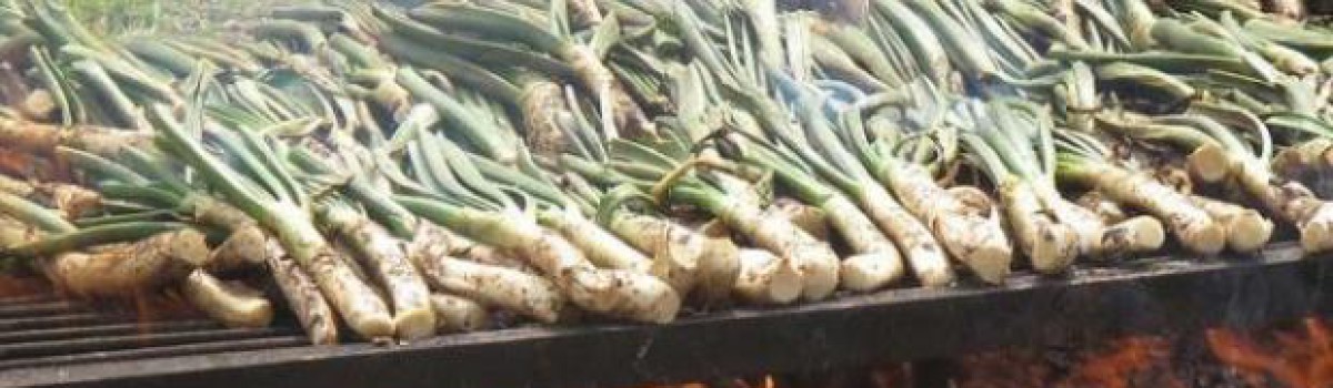 Tiempo de calçotades en el Penedès