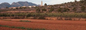 Cal Escori, una gran casa pairal al Penedès