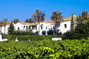 Finca Viladellops