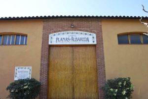 Planas Albareda