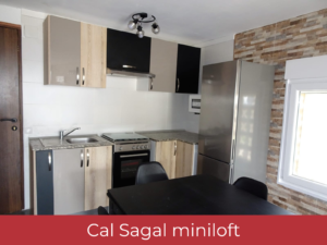 cal sagal miniloft