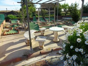 Golf Cal Sagal - Grup Cal Jafra (1)